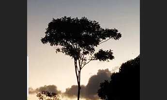Imagem 7: CASA NOVÍSSIMA ( PRIMEIRA LOCAÇÃO) À 10 MIN. DAS PRAIAS OCEÂNICAS(ENGENHO DO MATO