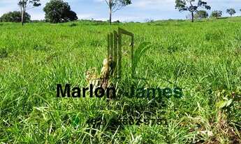 Imagem: FAZENDA EM JAUPACI-GO VENDA!