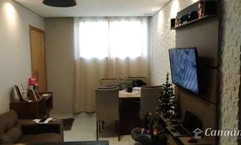 Imagem 2: IBIRITé - Padrão - Palmeiras