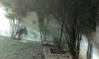 Imagem 6: Casa geminada Casa com 3 dormitórios