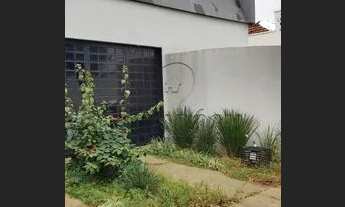 Imagem 2: SÃO JOSÉ DO RIO PRETO - Comercial - VILA REDENTORA