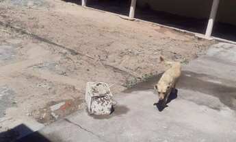Imagem: Casa na praia de Santa clara