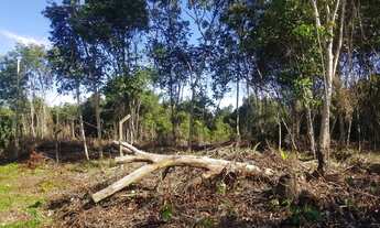 Imagem 4: Terreno Plano 4800m² para Sítio no Km26 da AM 070 (Manoel Urbano