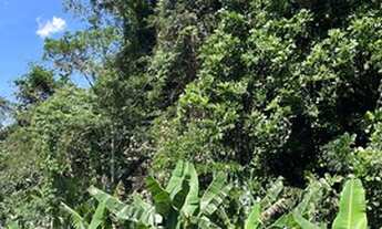 Imagem 2: Chácara por apenas R$300.000,00