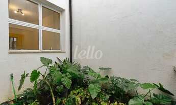 Imagem 7: São Paulo - Casa Padrão - Vila Nova Conceição