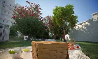 Imagem: Vista dos Cedros