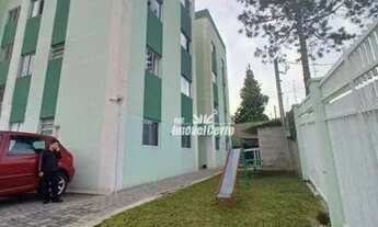 Imagem 6: APARTAMENTO 3 DORMITÓRIOS VILA AMELIA