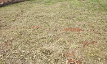 Imagem 5: Terreno - Parque dos Pinheiros - Nova Odessa