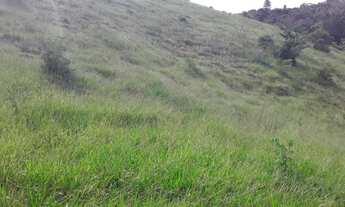 Imagem 5: Casa para venda com 1500 metros quadrados com 7 quartos em Cuiabá - Petrópolis - RJ