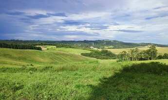 Imagem 5: Vista privilegiada