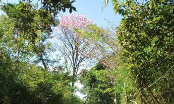 Imagem 7: VENDO PARAISO NO VALE DO JAMACÁ. CHAPADA DOS GUIMARÃES, MT