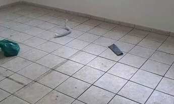 Imagem 6: Casa com 2 dormitórios para alugar, 150 m² por R$ 4.030/mês - Vila Maria Alta - São Paulo