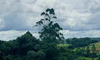 Imagem 2: BR Vendo lote de 500m² plaino em ibiuna Area kids Quadra de futebol Academia Trilha de