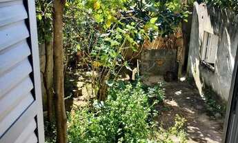 Imagem 5: Alugo Casa 3 Qtos C Garagem e Quintal 1.310