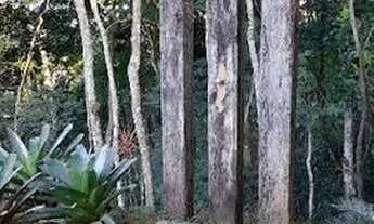 Imagem 3: Casa com 2 quartos R$ 1.200.000 - Graminha - Juiz de Fora/MG