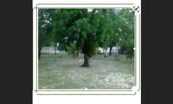 Imagem 5: Vendo um sítio Chácara com venda por R$350.000