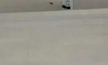 Imagem 4: EXCELENTE APARTAMENTO DUPLEX