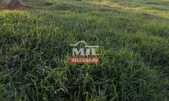 Imagem 2: Chácara 3,59 alqueires (17,38 hectares) Guapó - Go