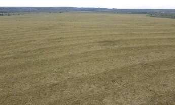 Imagem 5: Fazenda a venda, com dívida Bancária, no Tocantins!!