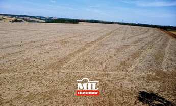 Imagem 6: FAZENDINHA PRODUTIVA COM 11 ALQUEIRES PROXIMO A GOIANIA