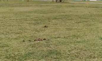 Imagem 7: Terreno no Bem Viver Campos