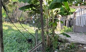 Imagem 6: Casa/chácara Casa com 2 dormitórios