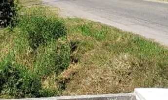 Imagem 4: ALuga-se casa na principal para Empresa Em jatoba Barrra dos coqueiros..