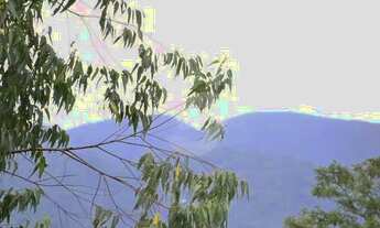 Imagem 7: Área à venda, 202056 m² por R$ 1.790.000,00 - Vila Progresso - Niterói/RJ