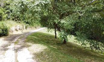 Imagem 7: Chácara à venda na Vargem pequena, Florianópolis/SC