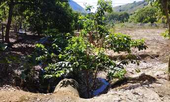 Imagem: Venda-se está chácara de 10.000m2 em Santa