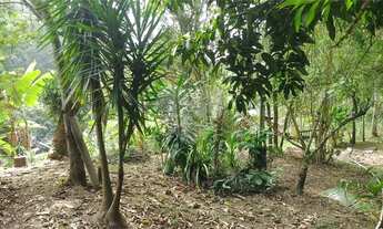 Imagem 7: Terreno à venda em Badu - RJ