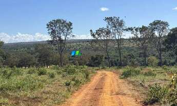 Imagem 4: FAZENDA À VENDA - 100 HECTARES - MORRO DA GARÇA (MG
