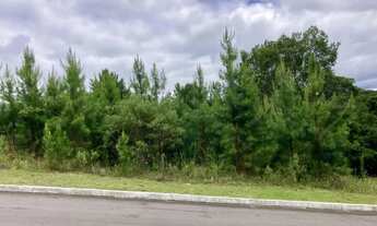 Imagem: Terreno - Bairro Dutra