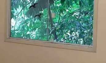 Imagem 7: Casa com 4 dormitório no Bairro Campeche