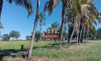 Imagem 6: Chácara 3,59 alqueires (17,38 hectares) Guapó - Go