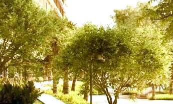 Imagem 3: Studio no Novo Campeche