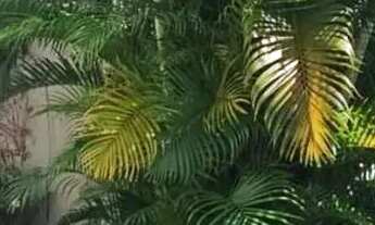 Imagem: Casa à Venda na Alameda Cheden Bittar em