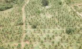 Imagem 3: FAZENDA À VENDA 37,5 HECTARES MAMBAÍ/GO