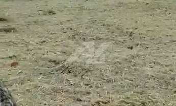 Imagem 3: Imóvel para venda com 438 metros quadrados em Parque Alto Taquaral - Campinas - SP