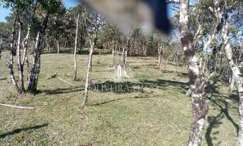 Imagem 4: Chácara com 2 Dormitorio(s) localizado(a) no bairro Área Rural de São José dos Pinhais em