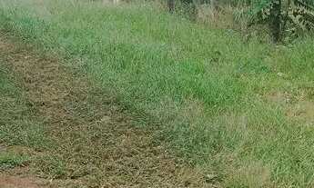 Imagem 7: Sítio completo Chácara com venda com preço sob consulta