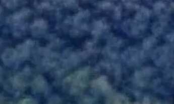 Imagem: Área Residencial /Almirante Tamandaré