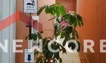 Imagem 7: Sobrado em Rua Armando Arruda Pereira - Jardim Zaira - Guarulhos/SP