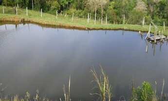 Imagem 6: SÍTIO com 4 hectares !!