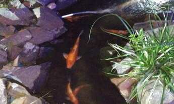 Imagem 5: APARTAMENTO RESIDENCIAL em CAMPINAS - SP, JARDIM SÃO JOSÉ