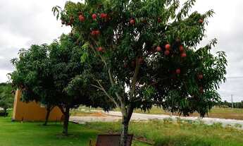 Imagem 6: CHÁCARA BONFIM PREÇO IMPERDÍVEL DIRETO COM O PROPRIETÁRIO