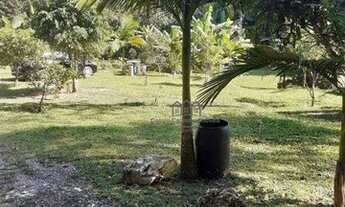 Imagem 5: Lindo sitio 1,5 alq.- lago - casa - 5km Tapirai - R$360.000