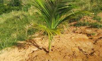 Imagem 6: Santos Dumont - Terreno Padrão - Portal das Aguas