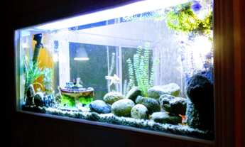 Imagem 4: Casa de 455 metros quadrados no bairro Vargem Grande com 6 quartos(4 suites c/ closet