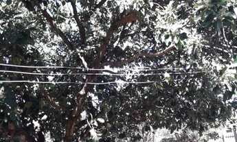 Imagem 2: Chácara para venda com 5000 metros quadrados no bairro Panorama Uberlândia